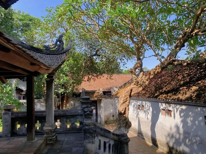 Th&agrave;nh Cổ Loa, di t&iacute;ch y&ecirc;n b&igrave;nh n&eacute;p m&igrave;nh nơi ngoại &ocirc; thủ đ&ocirc; 5