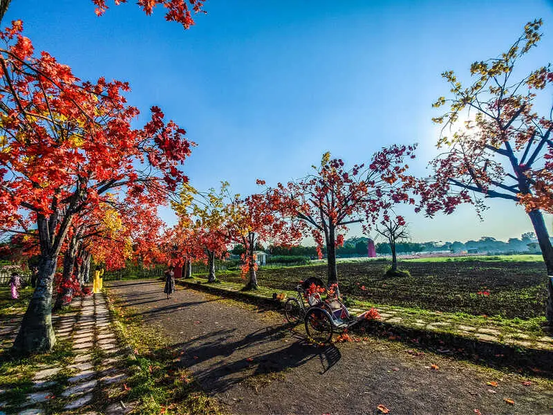 Thảo nguy&ecirc;n hoa Long Bi&ecirc;n, kh&ocirc;ng gian rực rỡ ng&aacute;t hương tại H&agrave; Nội 3