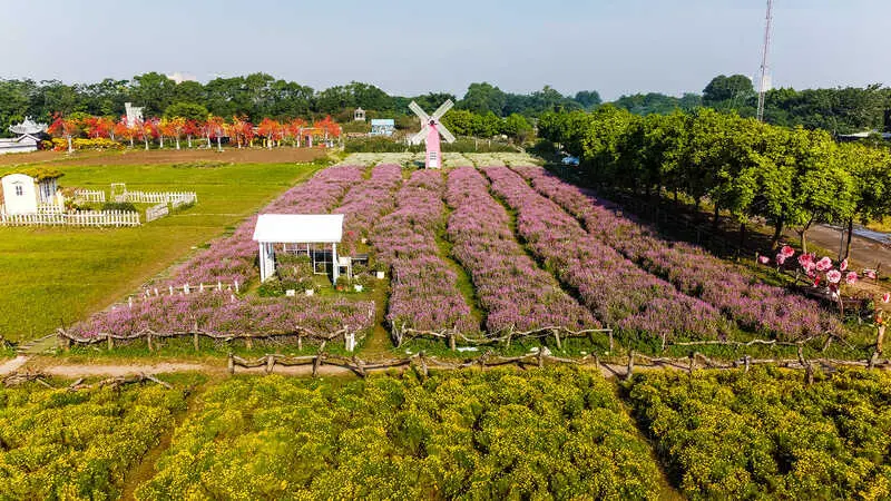 Thảo nguy&ecirc;n hoa Long Bi&ecirc;n, kh&ocirc;ng gian rực rỡ ng&aacute;t hương tại H&agrave; Nội 7