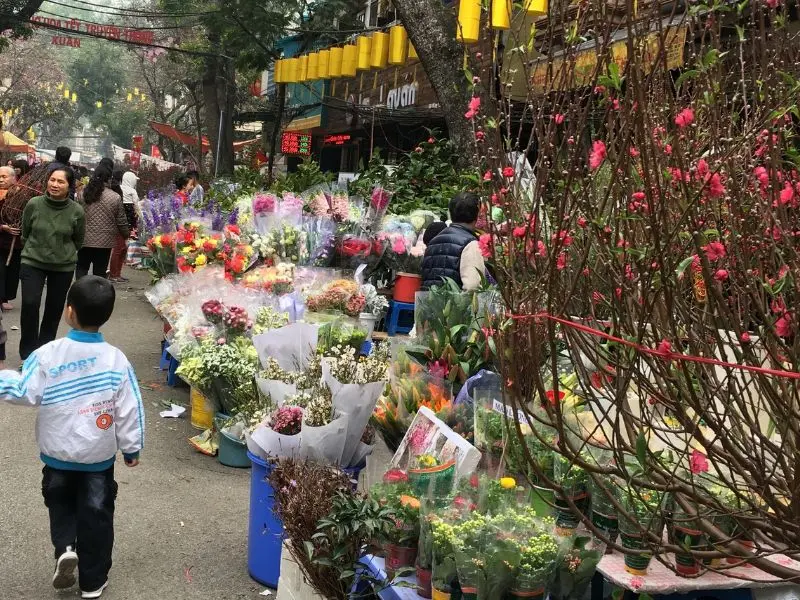 Top 10 chợ hoa Tết H&agrave; Nội cho dịp Xu&acirc;n 2026 th&ecirc;m đầy m&agrave;u sắc 10