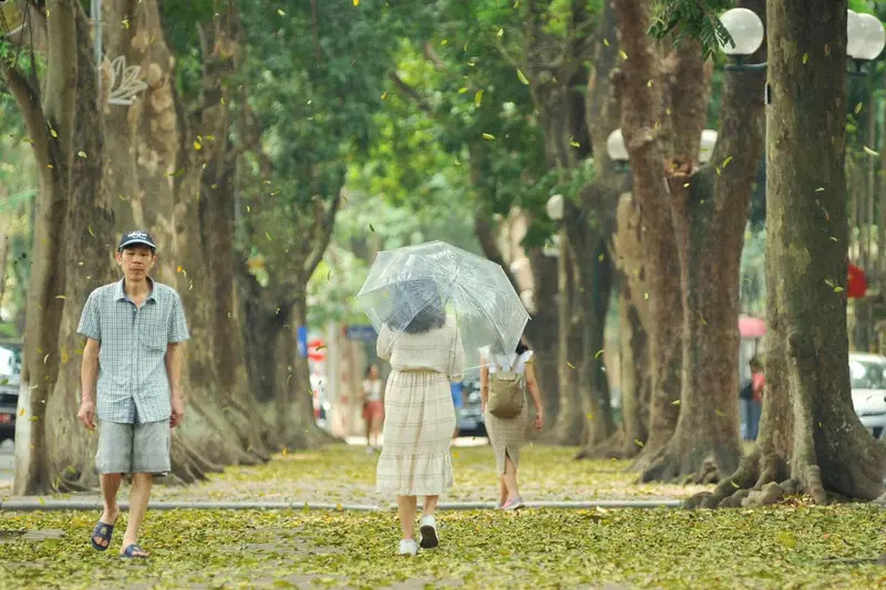 Trải nghiệm m&ugrave;a thu H&agrave; Nội với c&aacute;c hoạt động giản đơn, b&igrave;nh dị 4