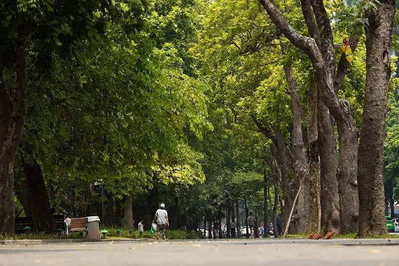 Trải nghiệm m&ugrave;a thu H&agrave; Nội với c&aacute;c hoạt động giản đơn, b&igrave;nh dị 5