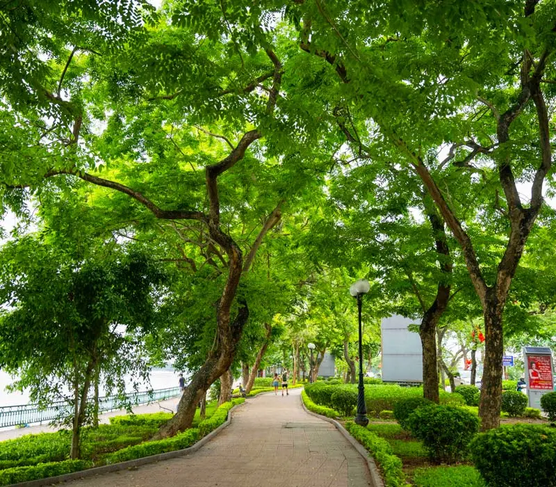 Dạo bước ngắm đường Thanh Niên, con phố tình yêu của Hà Nội