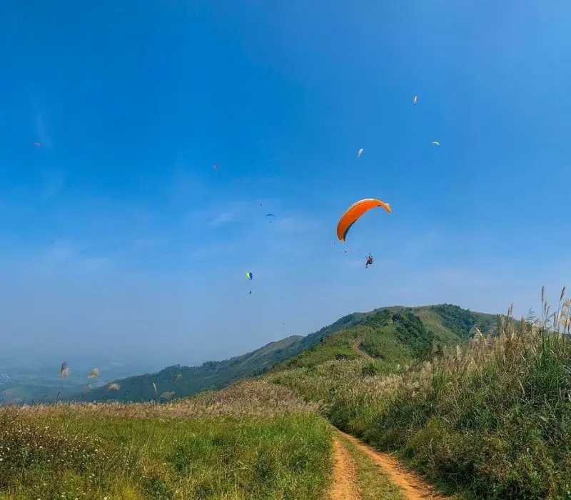 Đồi Bù: Thiên đường của cỏ lau và trải nghiệm dù lượn trên không