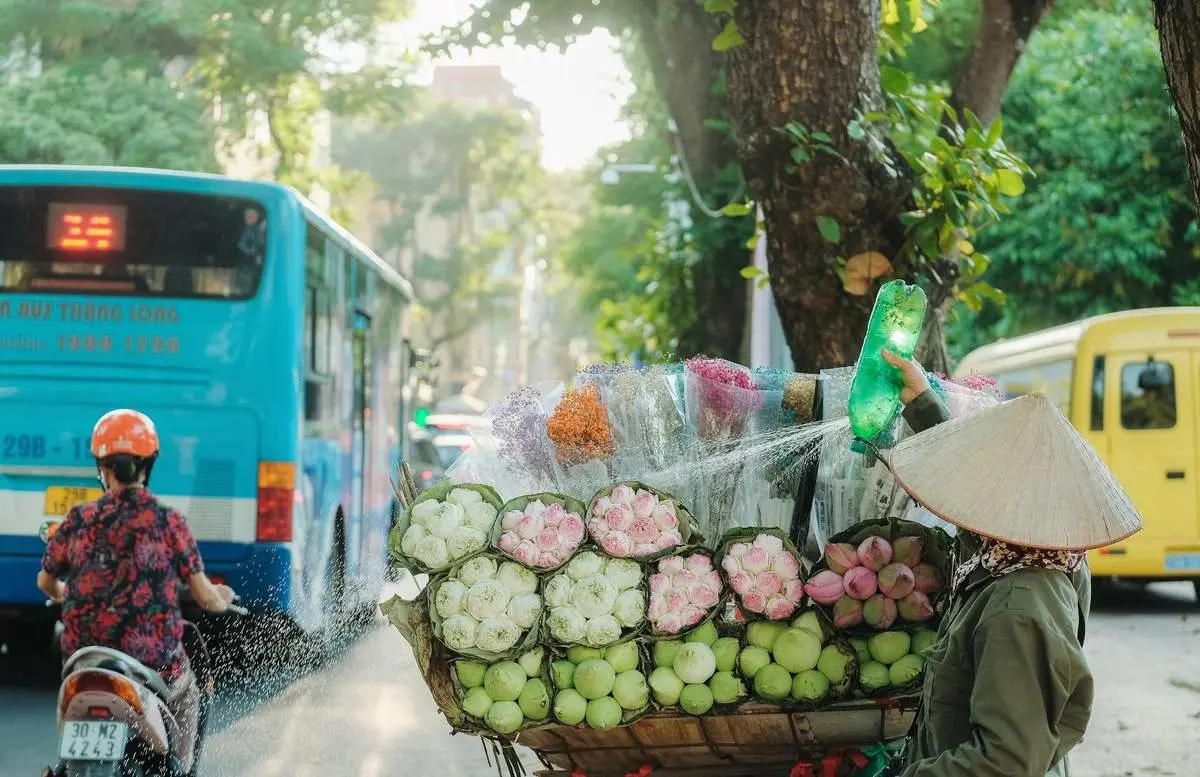 Nét thanh tao của Hà Nội giao mùa trên từng góc phố