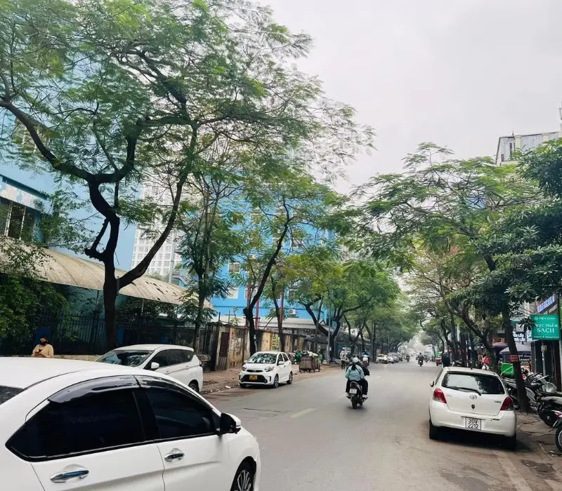 Phố Núi Trúc vừa cổ kính vừa hiện đại giữa lòng Hà Nội