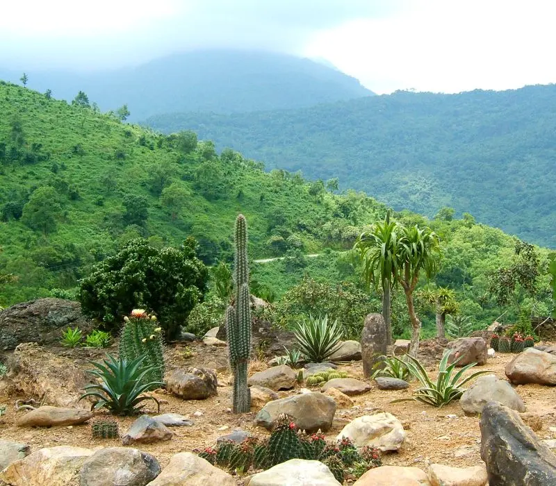 Kinh nghiệm du lịch Ba V&igrave; 1 ng&agrave;y tự t&uacute;c 4
