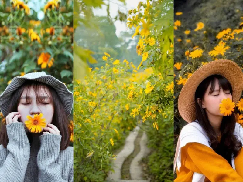 Kinh nghiệm du lịch Ba V&igrave; 2 ng&agrave;y 1 đ&ecirc;m tự t&uacute;c từ A - Z 2