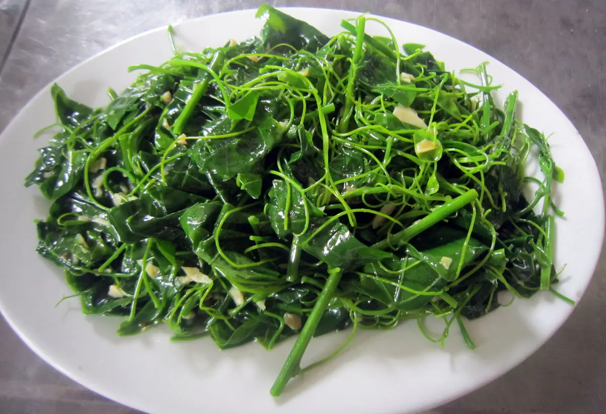 Lịch tr&igrave;nh du lịch Ba V&igrave; 2 ng&agrave;y 1 đ&ecirc;m d&agrave;nh cho người đi lần đầu 6