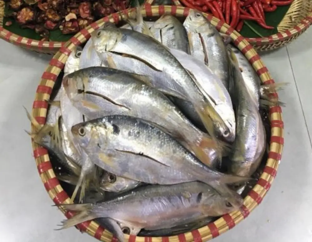 Đặc sản C&aacute; m&ograve;i kho Kiến Thụy Hải Ph&ograve;ng ngon nức tiếng nhất định phải thử 4