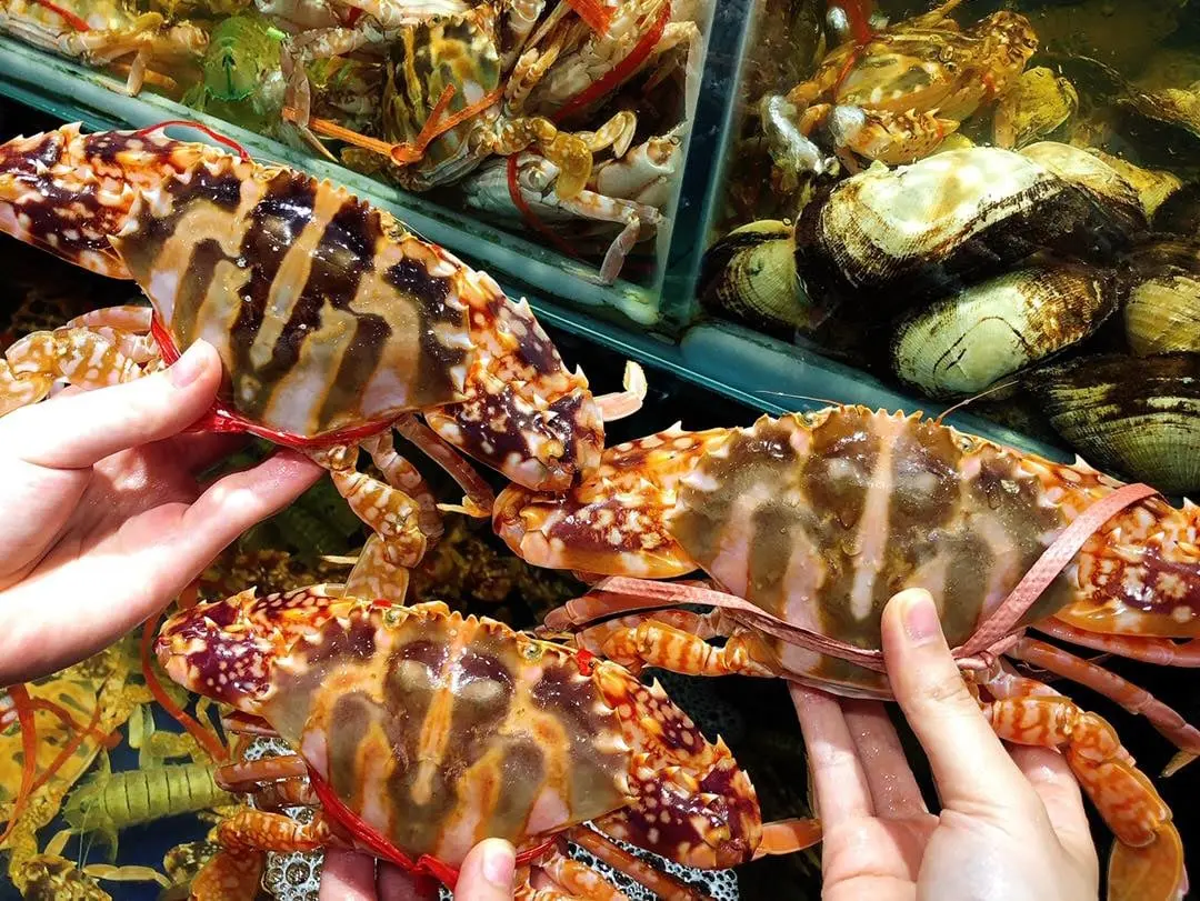 Lạc lối tại thi&ecirc;n đường hải sản Ngư Trường Buffet Hải Sản Hải Ph&ograve;ng 8