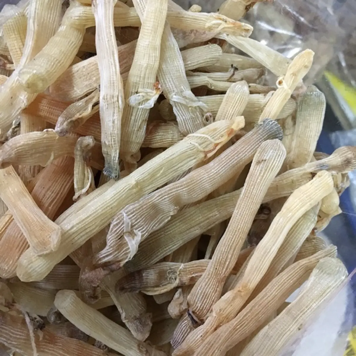 Sá sùng khô Hải Phòng - Tuy khô khan nhưng lại ngon không tưởng 4