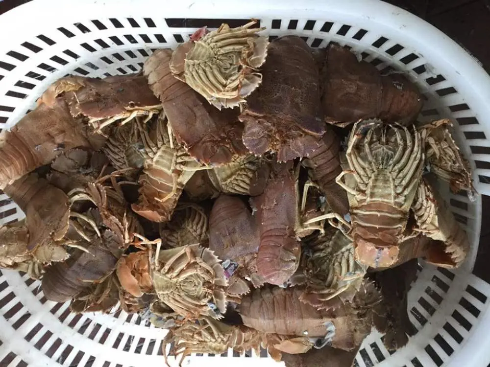 Thưởng thức hải sản ngon tại Nh&agrave; h&agrave;ng Thi&ecirc;n Hồng Ph&aacute;t Hải Ph&ograve;ng 7