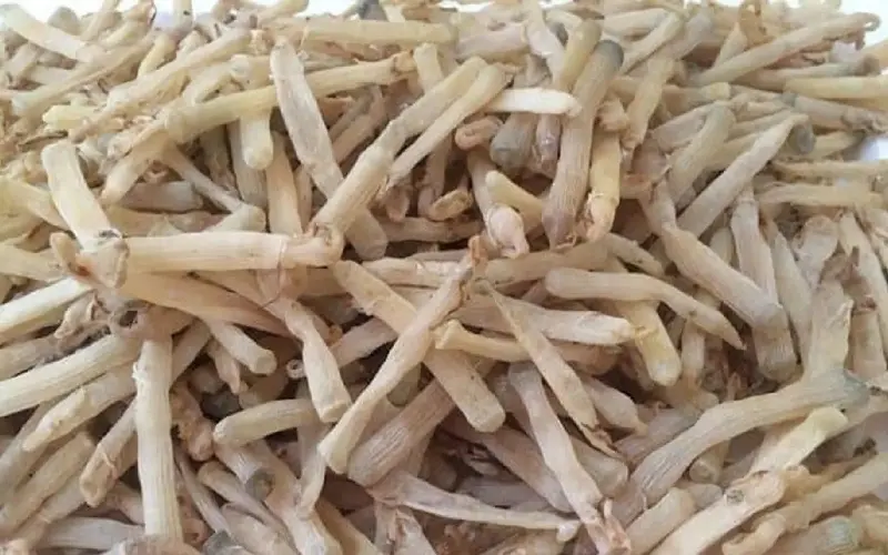 Top 25 đặc sản Hải Ph&ograve;ng ngon &ldquo;qu&ecirc;n lối về&rdquo; nhất định phải thử 13
