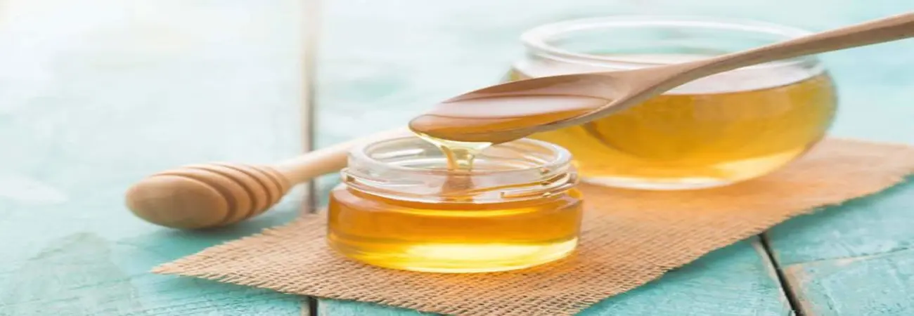 Mật ong rừng Cát Bà - sản vật quý nơi đất cảng Hải Phòng