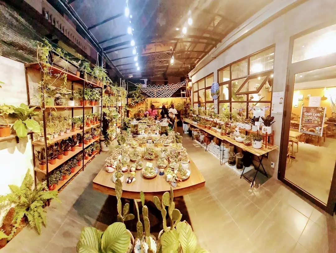 Vivaria - Coffee & Trees - Khu vườn nghệ thuật ngay giữa lòng thành phố