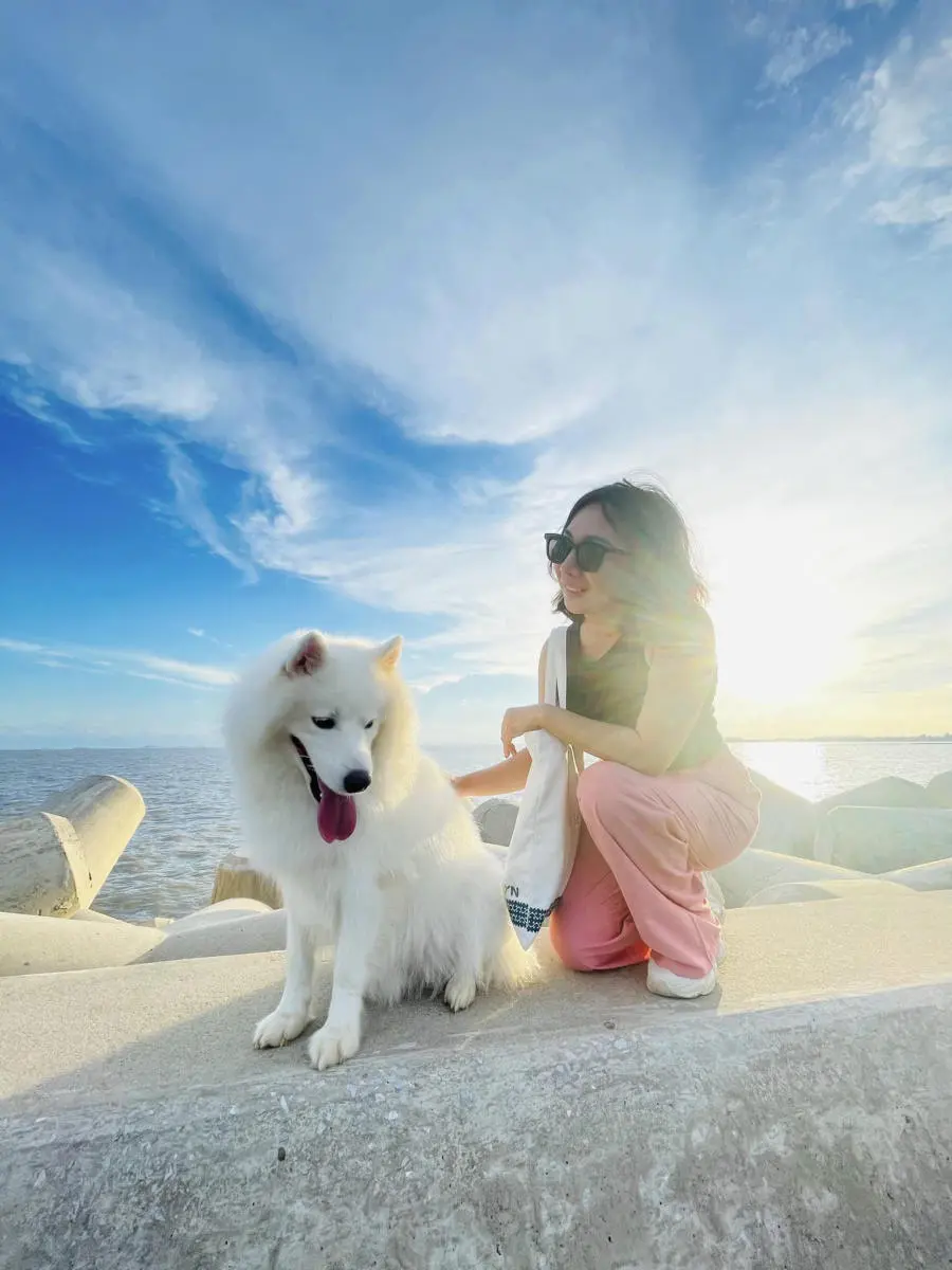 Đến Bờ đ&ecirc; chắn s&oacute;ng C&aacute;t Hải trốn phố thị n&aacute;o nhiệt v&agrave;o cuối tuần 2