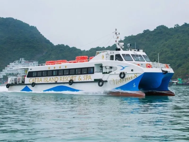 Kh&aacute;m ph&aacute; Đảo Khỉ C&aacute;t B&agrave;: Thi&ecirc;n đường hoang d&atilde; giữa l&ograve;ng vịnh Lan Hạ 3