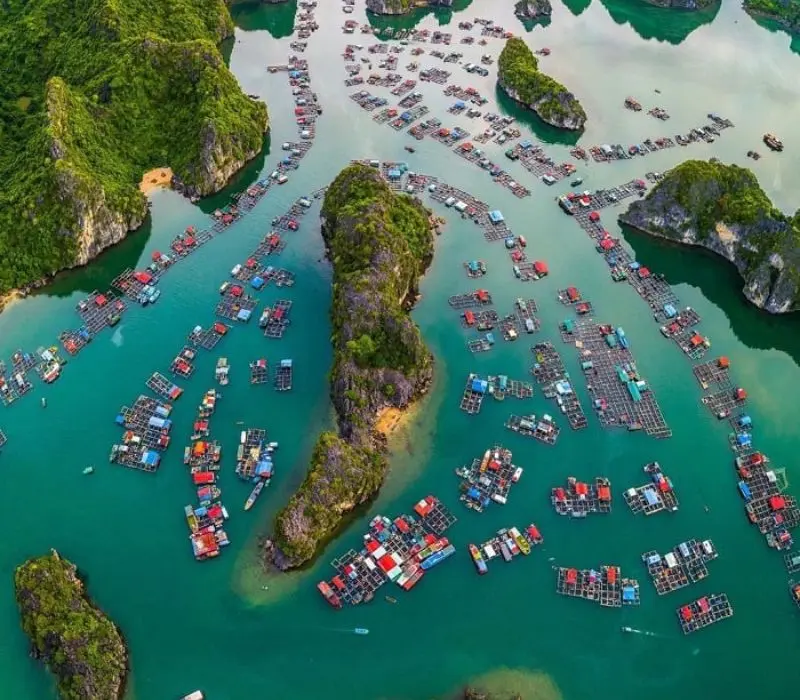 Kh&aacute;m ph&aacute; l&agrave;ng ch&agrave;i C&aacute;i B&egrave;o, Di sản sống giữa vịnh Lan Hạ 2
