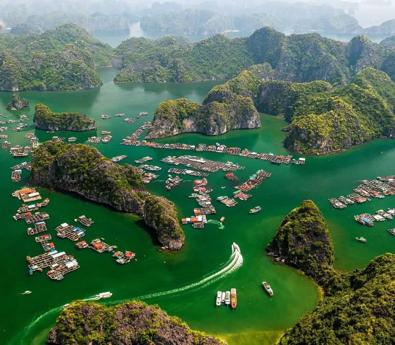 Kh&aacute;m ph&aacute; l&agrave;ng ch&agrave;i C&aacute;i B&egrave;o, Di sản sống giữa vịnh Lan Hạ 3