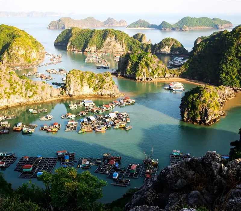 Kh&aacute;m ph&aacute; l&agrave;ng ch&agrave;i C&aacute;i B&egrave;o, Di sản sống giữa vịnh Lan Hạ 4