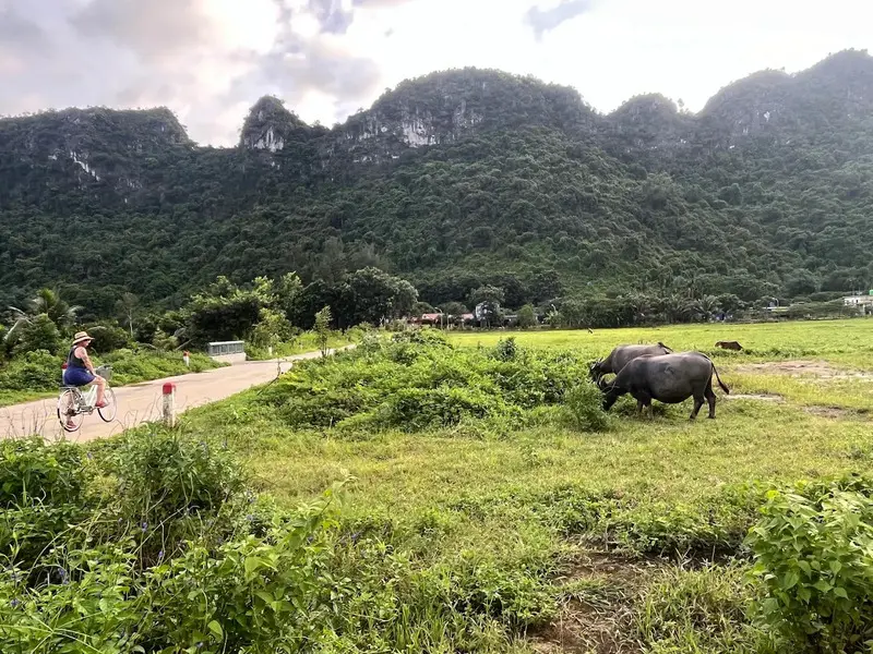 Kh&aacute;m ph&aacute; l&agrave;ng Việt Hải vi&ecirc;n ngọc th&ocirc; giữa l&ograve;ng C&aacute;t B&agrave; Hải Ph&ograve;ng 3