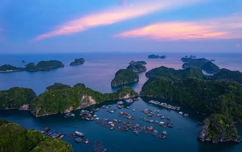 Kinh nghiệm du lịch C&aacute;t B&agrave;: Di chuyển, trải nghiệm, ăn uống 5