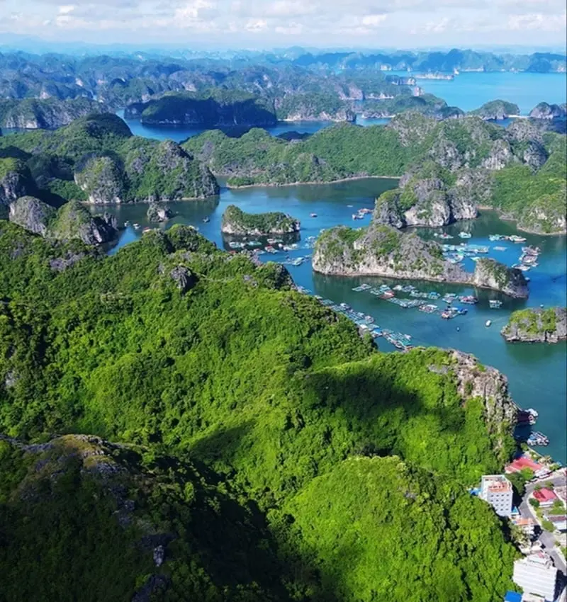 Kinh nghiệm du lịch C&aacute;t B&agrave;: Di chuyển, trải nghiệm, ăn uống 2