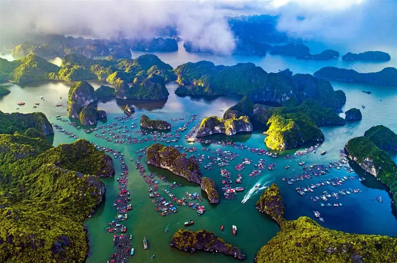 Kinh nghiệm du lịch C&aacute;t B&agrave;: Di chuyển, trải nghiệm, ăn uống 3