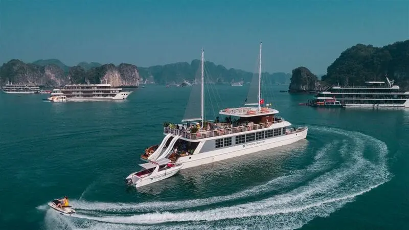 Kinh nghiệm du lịch C&aacute;t B&agrave;: Di chuyển, trải nghiệm, ăn uống 13
