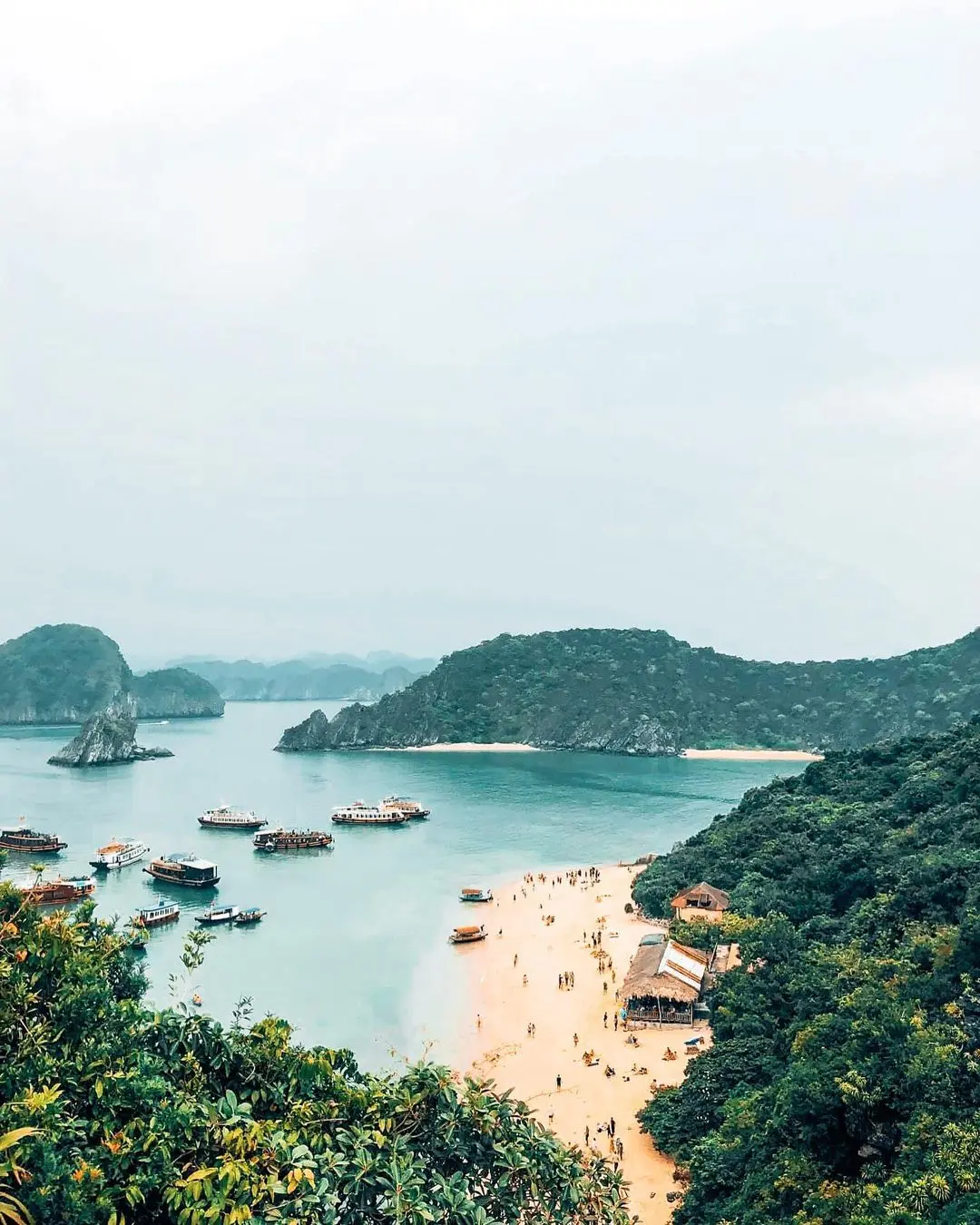 Nắm gọn đảo C&aacute;t B&agrave; trong tay với Review du lịch đảo C&aacute;t B&agrave; 3