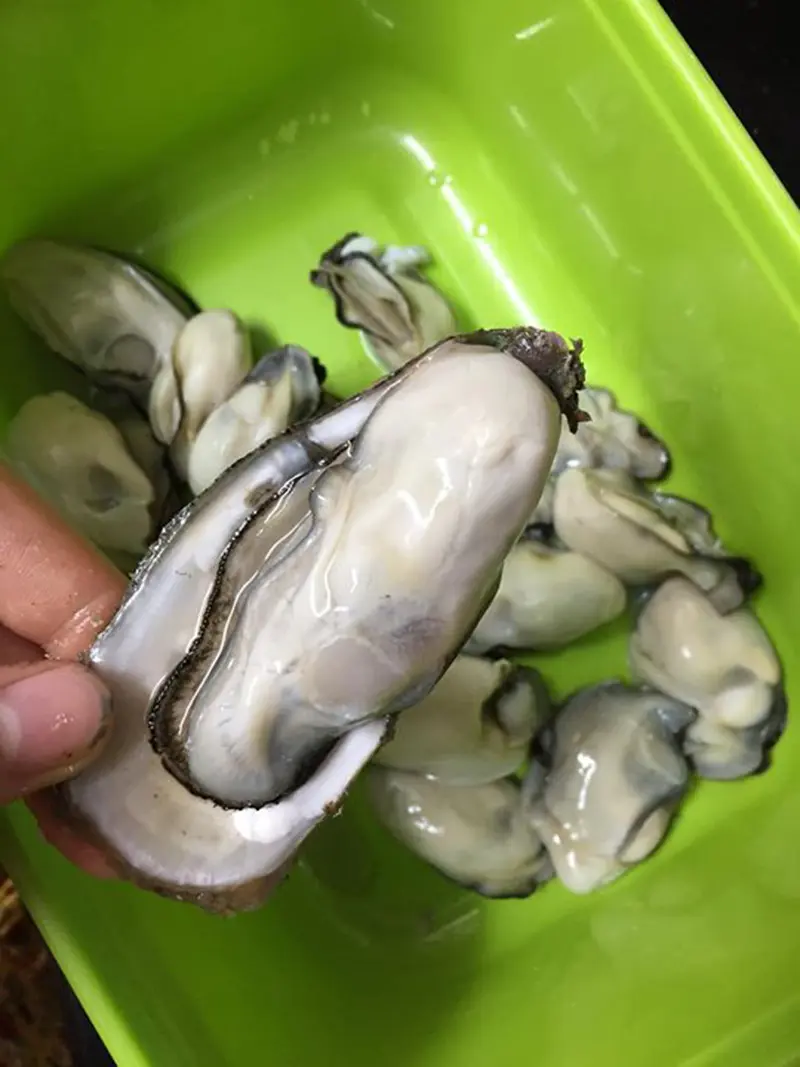 Ngồi lại nghe MIA.vn review foodtour Hải Ph&ograve;ng n&egrave; bạn ơi 3