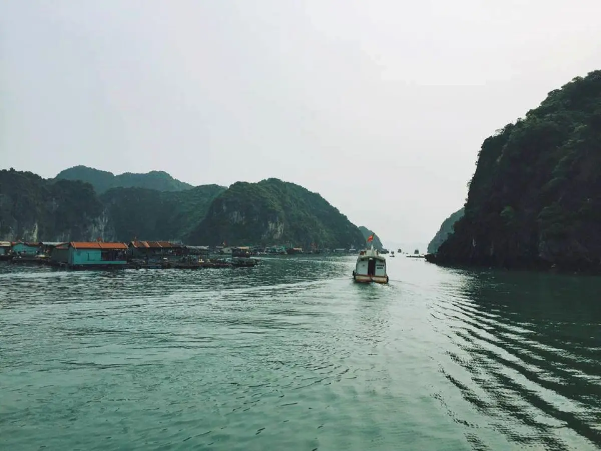 Review đảo C&aacute;t B&agrave; tất tần tật từ A - Z si&ecirc;u chi tiết đ&acirc;y! 2