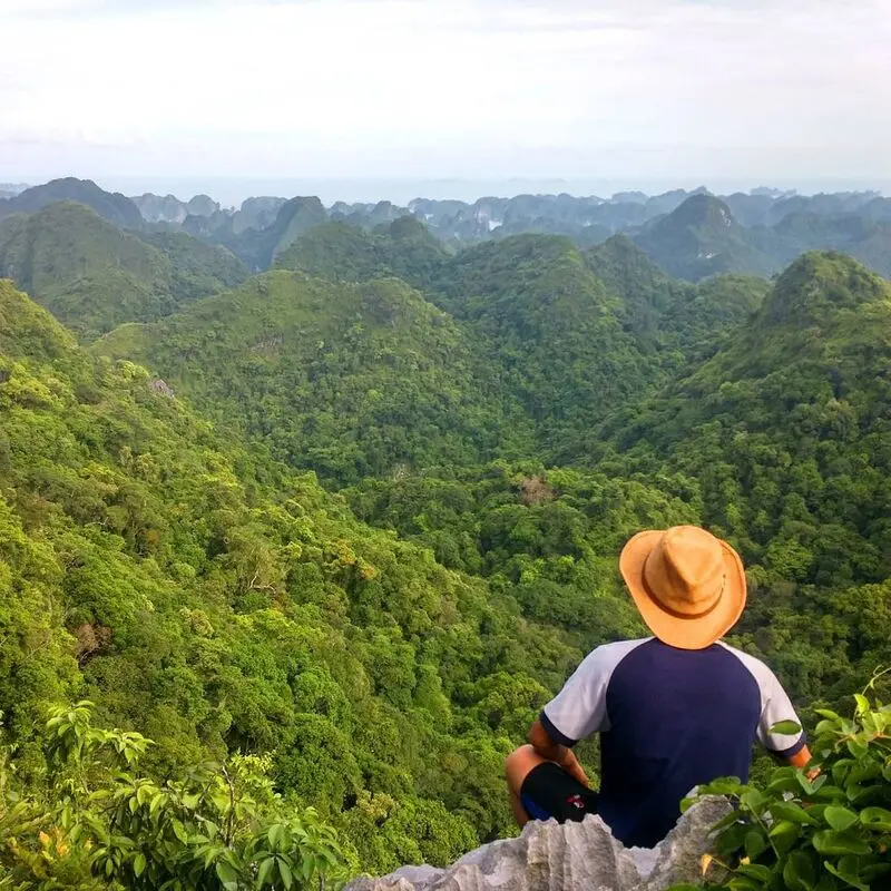 Review Vườn quốc gia C&aacute;t B&agrave; hoang sơ giữa l&ograve;ng Hải Ph&ograve;ng 4