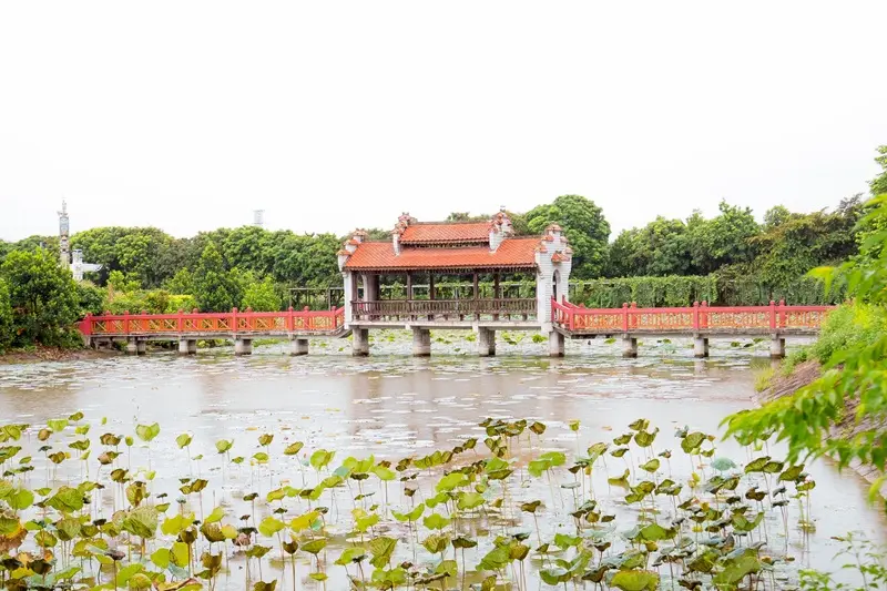 Trường Th&agrave;nh Farm nơi trải nghiệm k&yacute; ức tuổi thơ tại Hải Ph&ograve;ng 2