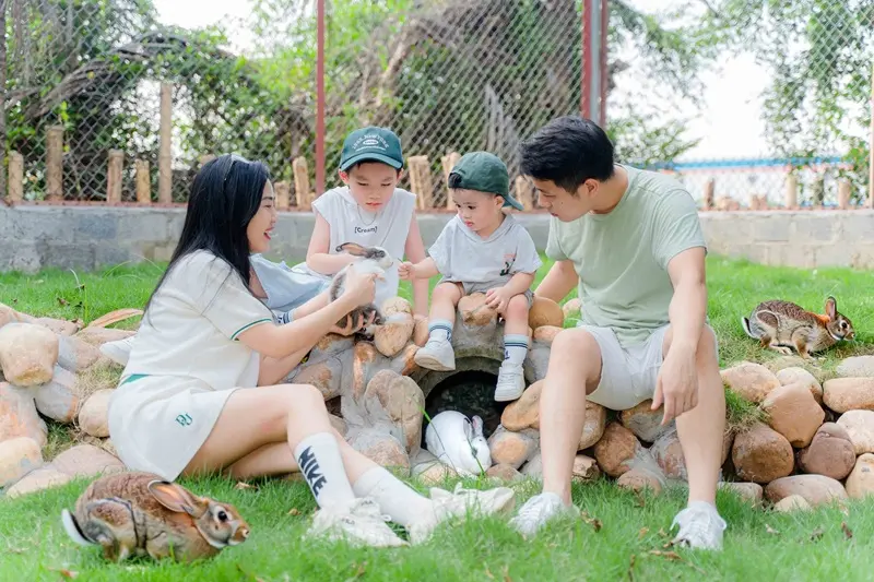 Trường Th&agrave;nh Farm nơi trải nghiệm k&yacute; ức tuổi thơ tại Hải Ph&ograve;ng 14