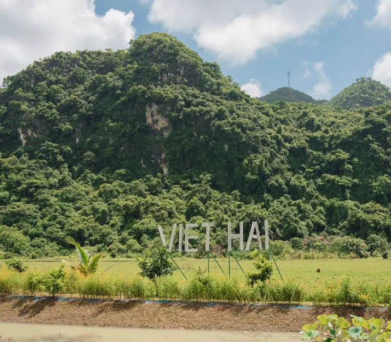 Khám phá làng Việt Hải viên ngọc thô giữa lòng Cát Bà Hải Phòng