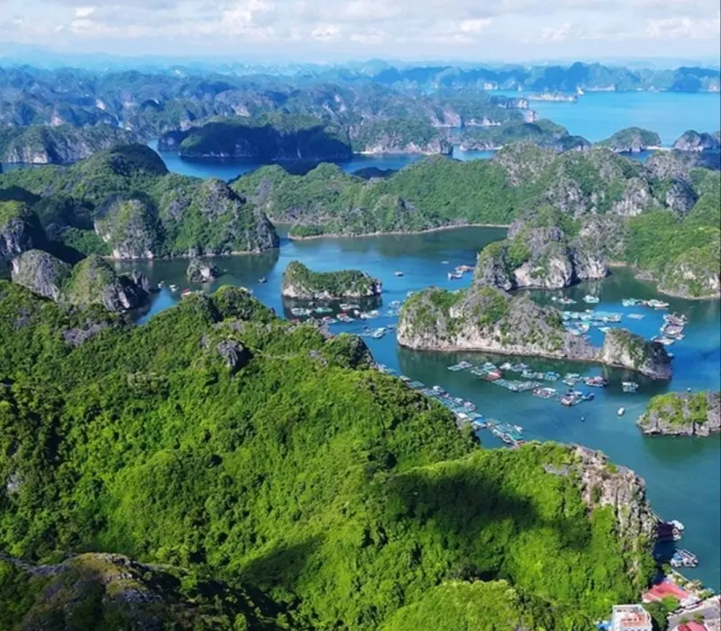 Kinh nghiệm du lịch Cát Bà: Di chuyển, trải nghiệm, ăn uống