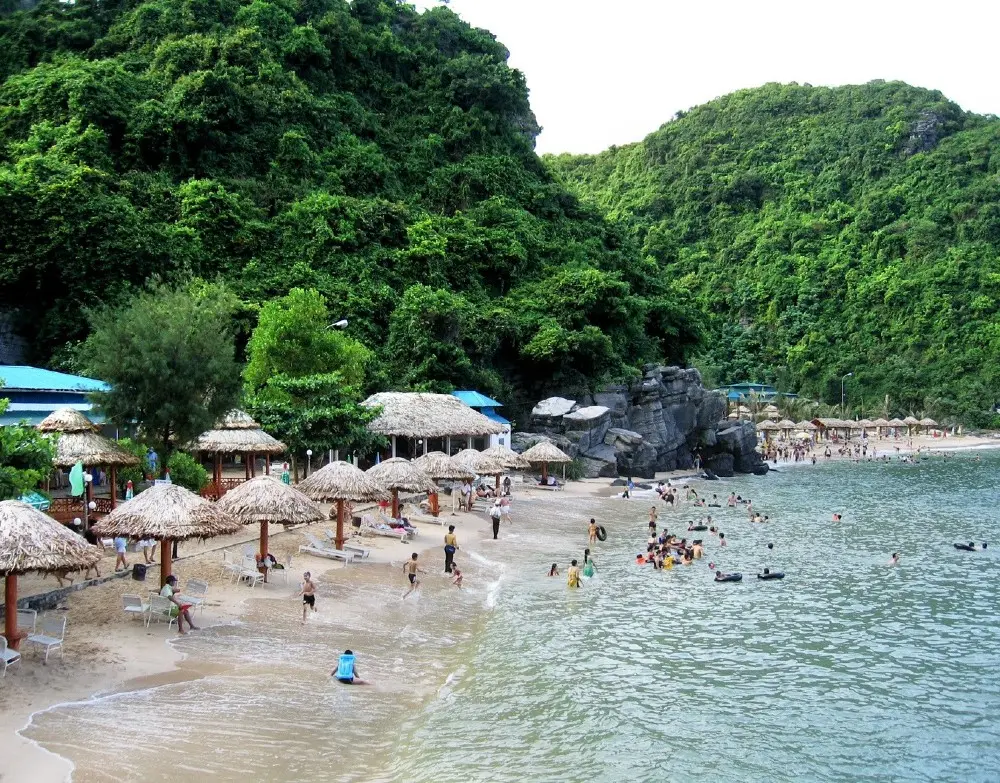 Mê không lối thoát với bài Review kinh nghiệm đi Cát Bà quá hấp dẫn