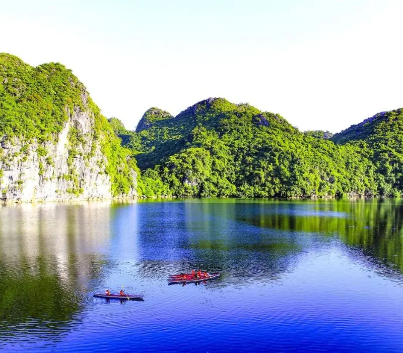 Review Vườn quốc gia Cát Bà hoang sơ giữa lòng Hải Phòng