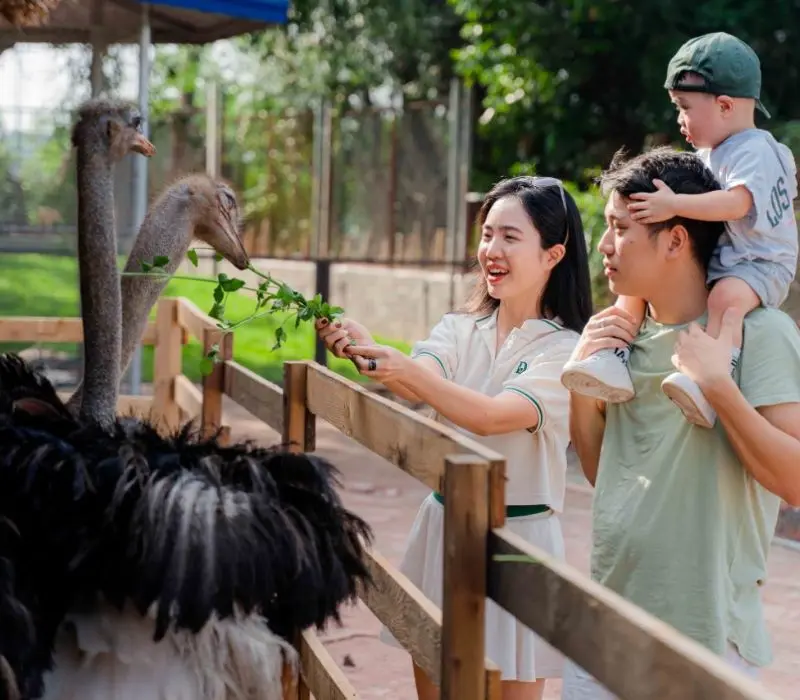Trường Thành Farm nơi trải nghiệm ký ức tuổi thơ tại Hải Phòng