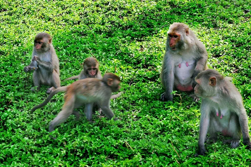 Gợi &yacute; chi tiết Lịch tr&igrave;nh 1 ng&agrave;y ở vịnh Lan Hạ cực kỳ th&uacute; vị 6