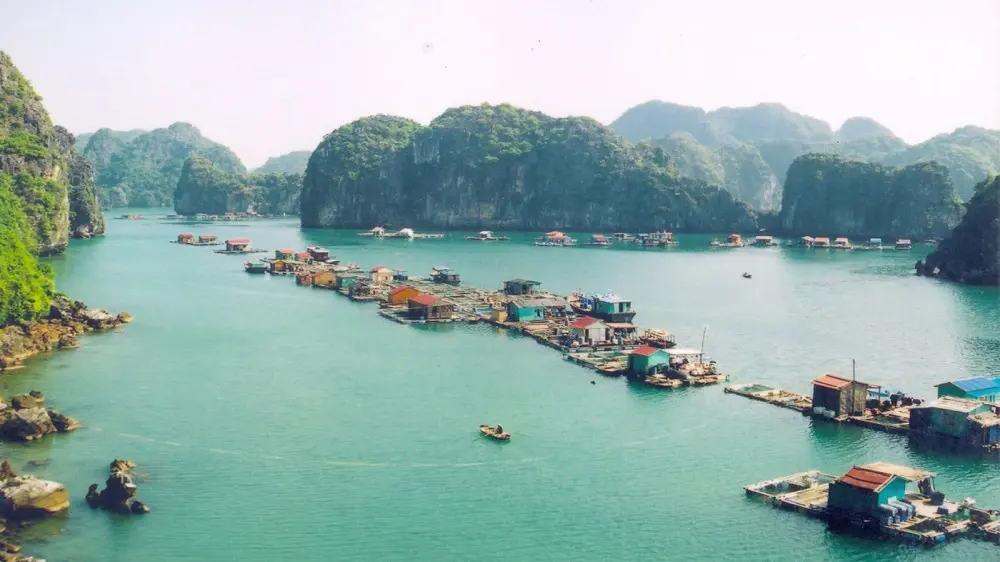 Gợi &yacute; chi tiết Lịch tr&igrave;nh 1 ng&agrave;y ở vịnh Lan Hạ cực kỳ th&uacute; vị 3