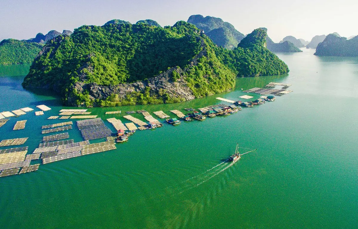 Gợi &yacute; Lịch tr&igrave;nh đi C&aacute;t B&agrave; 3N2Đ tự t&uacute;c từ A đến Z 2