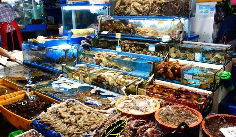 Gợi &yacute; Lịch tr&igrave;nh đi C&aacute;t B&agrave; 3N2Đ tự t&uacute;c từ A đến Z 8