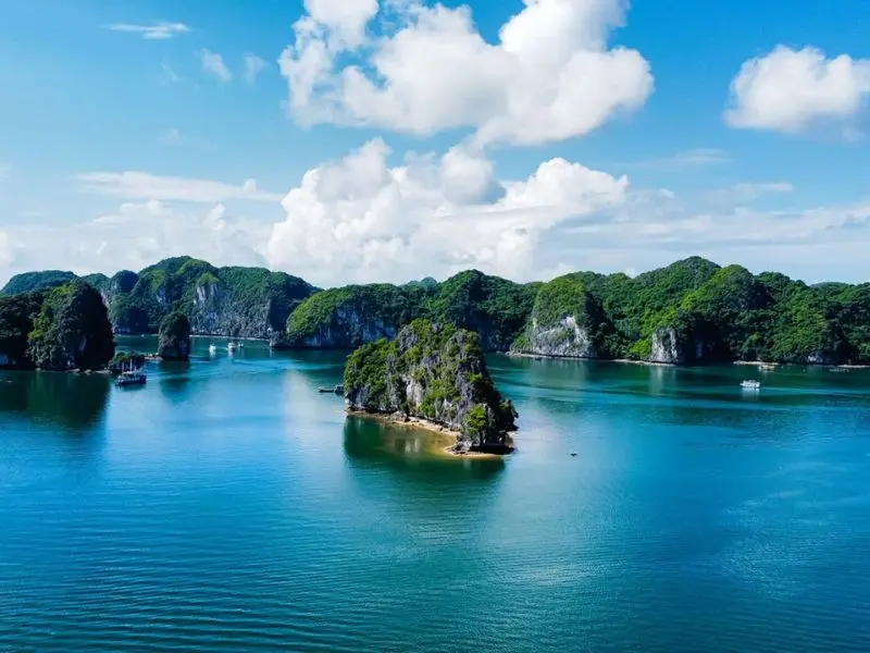 Gợi &yacute; lịch tr&igrave;nh du lịch C&aacute;t B&agrave; 2 ng&agrave;y 1 đ&ecirc;m chi tiết 6