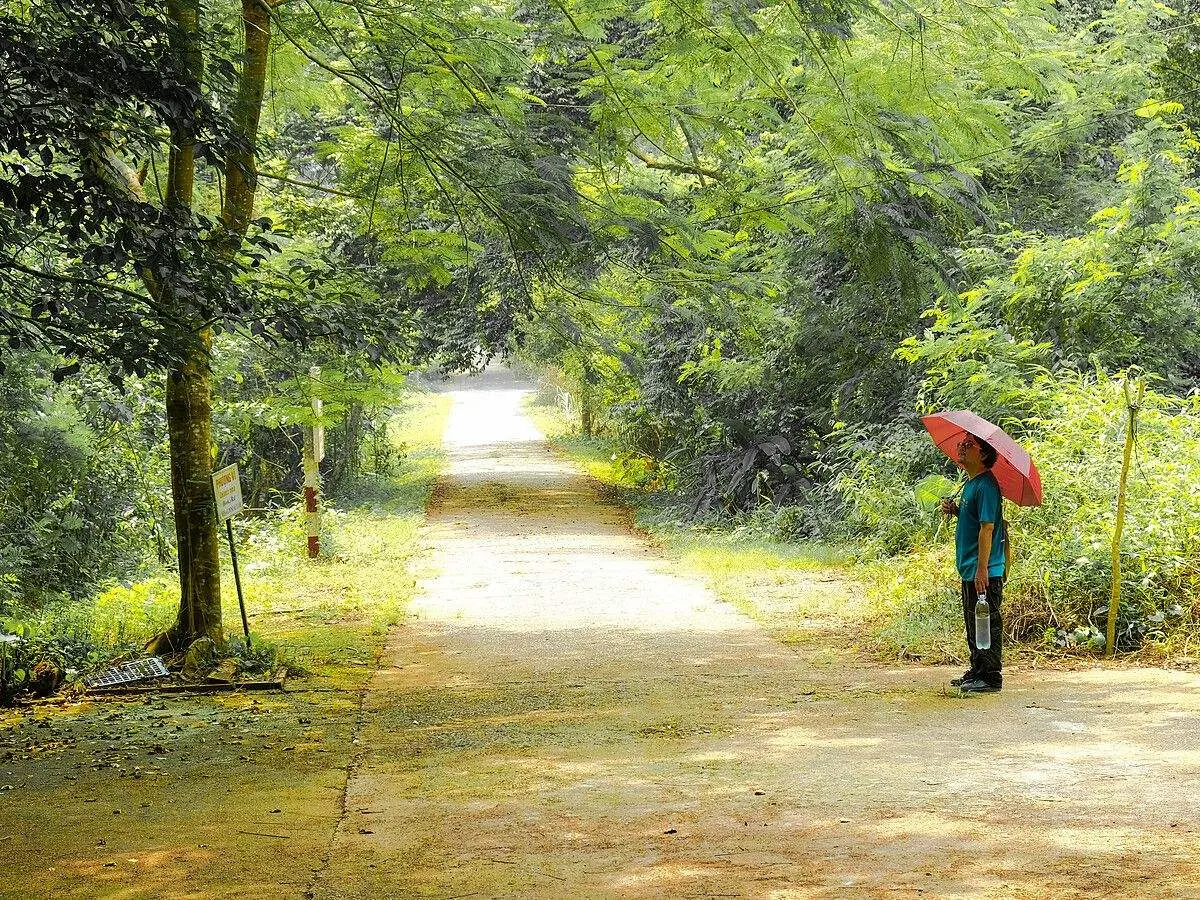 Kh&aacute;m ph&aacute; đất Cảng c&ugrave;ng Lịch tr&igrave;nh du lịch Hải Ph&ograve;ng 2N1Đ 7