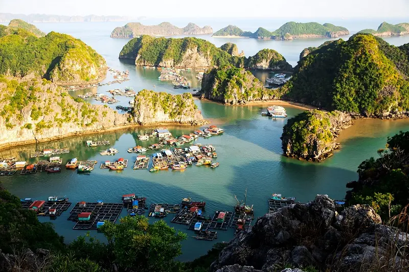 Gợi ý chi tiết Lịch trình 1 ngày ở vịnh Lan Hạ cực kỳ thú vị