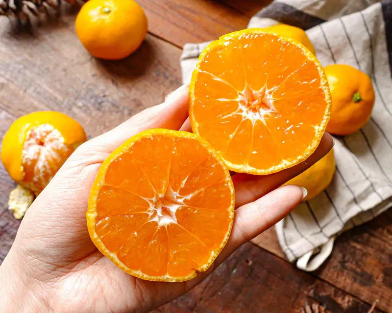Thưởng thức qu&yacute;t Jeju, hương vị tinh t&uacute;y từ đảo thi&ecirc;n đường H&agrave;n Quốc 2