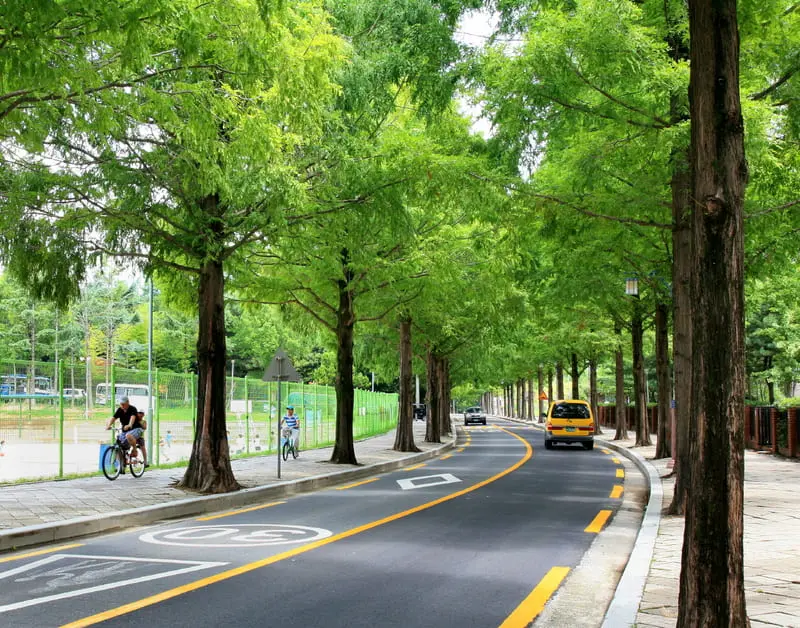 Changwon thành phố thấm đẫm hơi thở nghệ thuật tại Hàn Quốc 6